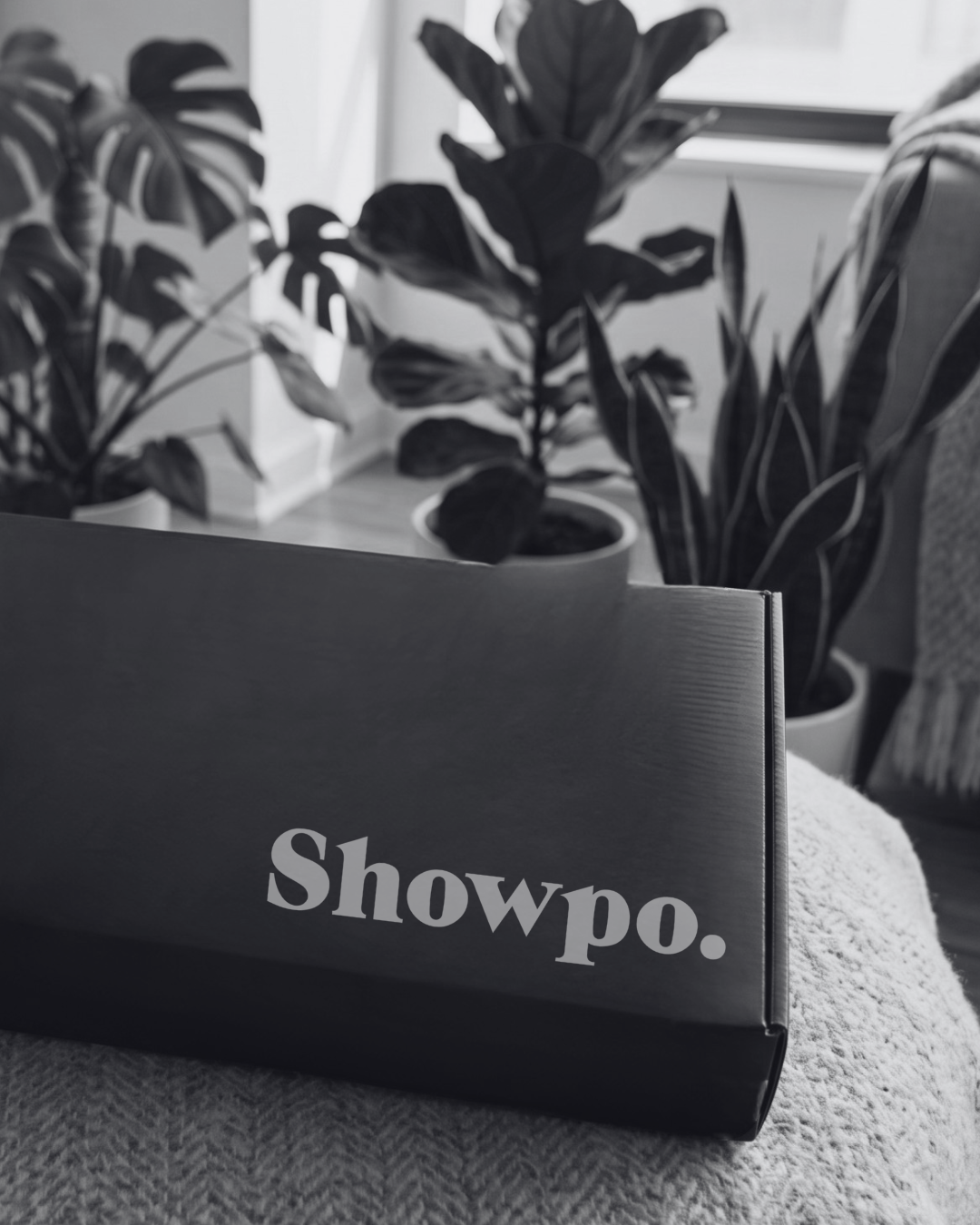 HomePage_Showpo