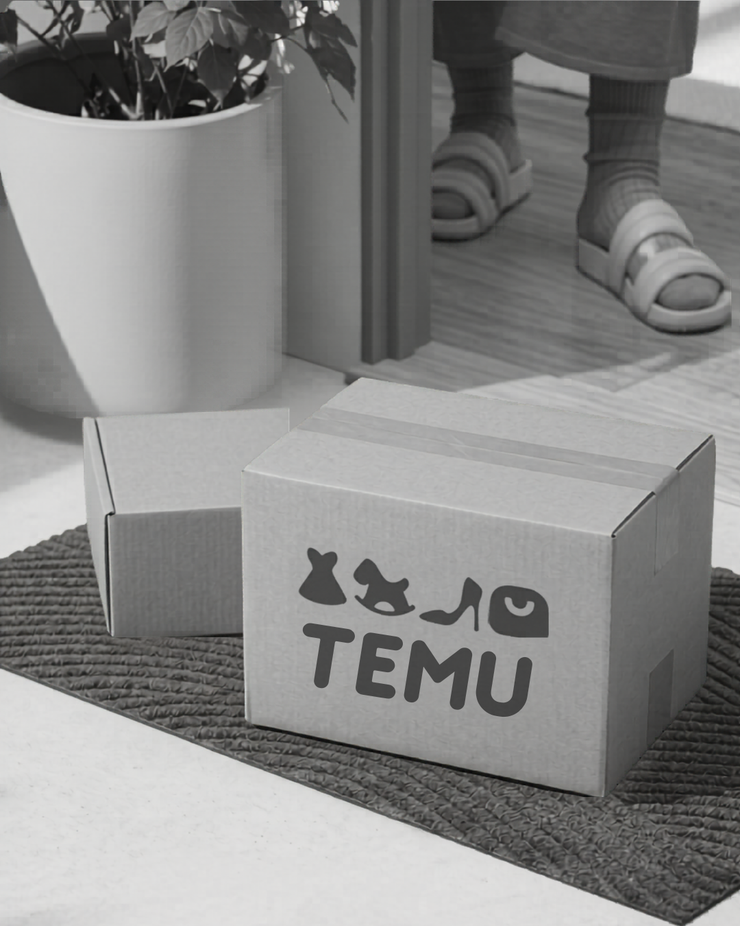 HomePage_Temu